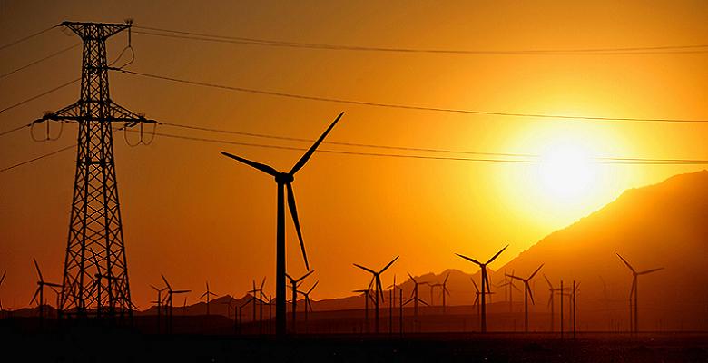 AGVCS-1000 AGC/AVC控制系統(tǒng)